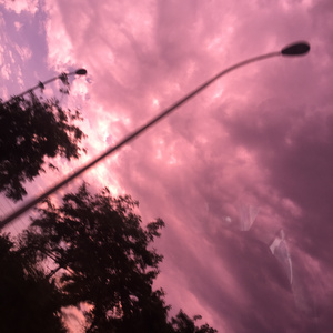 天天影视网色香欲综合网
