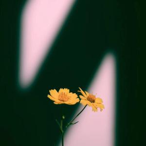 天天影视网色香欲综合网
