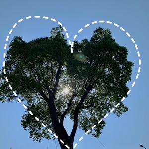 天天影视网色香欲综合网
