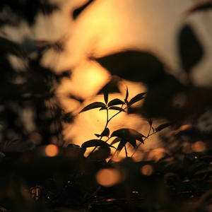 天天影视网色香欲综合网
